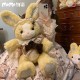 Momo Story Yellow Rabbit Bags(Leftovers/Full Payment Without Shipping)